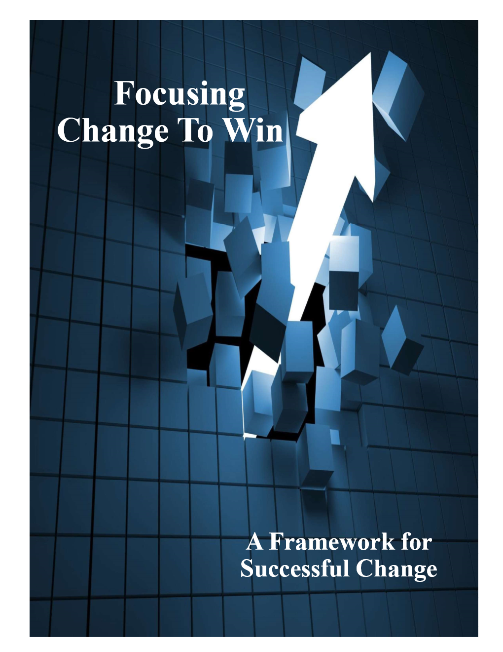 Focusing Change to Win Brochure Cover. 1 of 6
